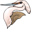 Pink Heron Head Clip Art